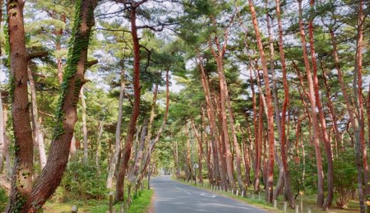 【福井 敦賀 観光地 旅行記3/3】敦賀ムゼウム・赤レンガ・気比の松原への行き方、所要時間、交通費